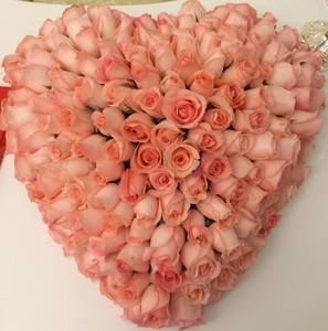 Meet your Posher, Stella